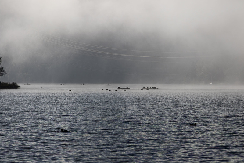 Der Kochelsee im Morgennebel