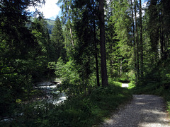 Waldweg