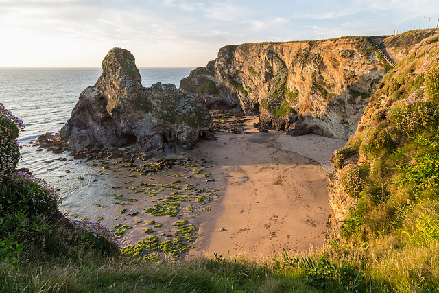 Whipsiderry Beach in last evening light