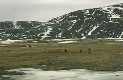 Golf inuit