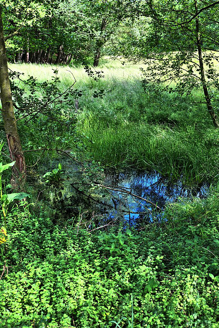 Streifzug durchs "Bergische Land"