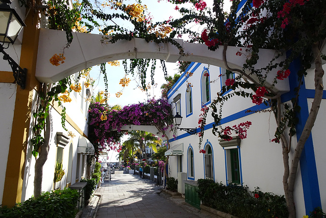 Flowers In Puerto De Mogan