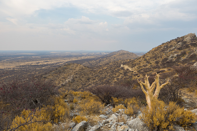 Namibia-0863