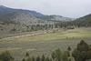 IMG 5679