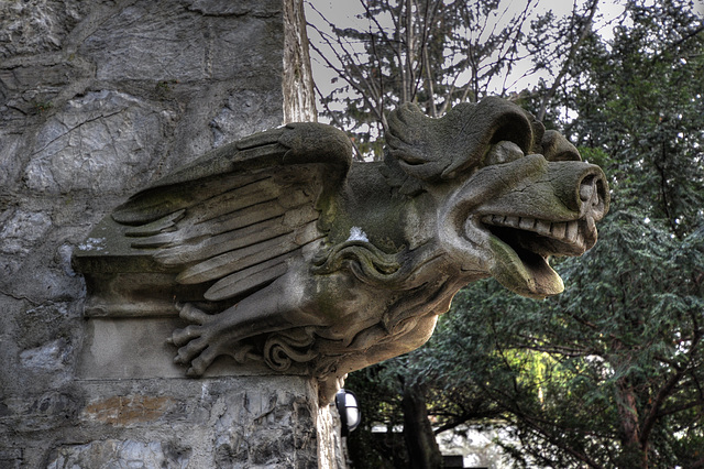 Gargoyle of Vaduz Cathedral of St. Florian