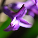 DSCF3762