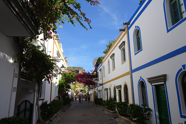 Flowers In Puerto De Mogan