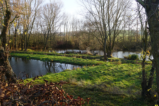 Fischteiche Elbingerode im Dezember II