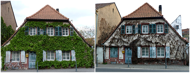 Das alte Haus