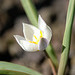 DSCF3769