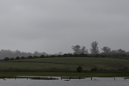 Passing Shower