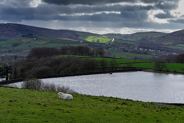 Swineshaw Reservoir