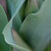 DSCF3759
