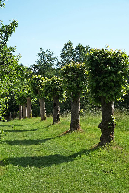 Streifzug durchs "Bergische Land"