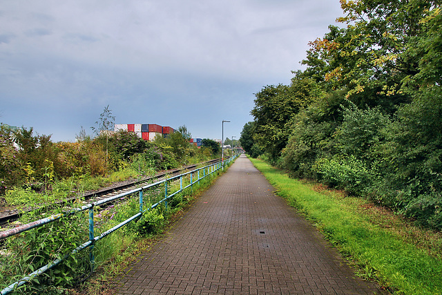Fußgängerweg neben der Hafenbahn (Hafen Dortmund) / 19.08.2023