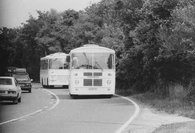 Ministry of Defence buses on the A11 at Barton Mills – 22 Jul 1984 (X842) Ministry of Defence buses on the A11 at Barton Mills – 22 Jul 1984 (X842)
