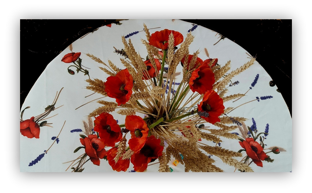 Nappe, coquelicots et blé