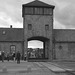 Birkenau- Point of No Return