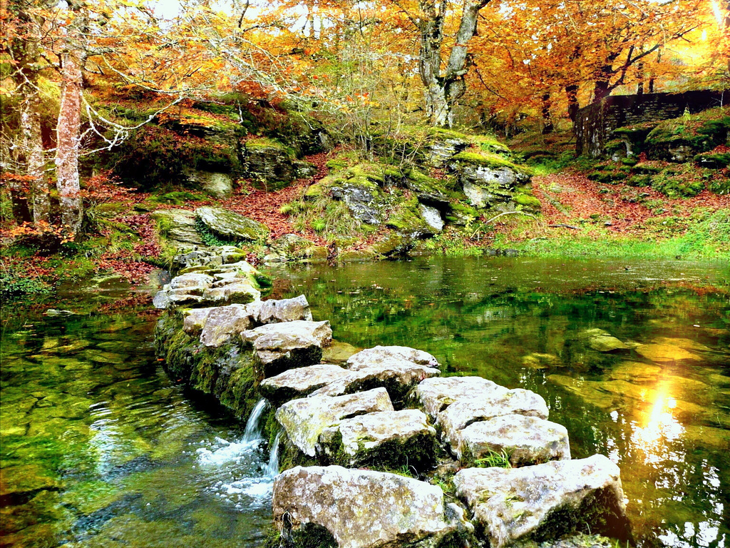 SONRISA DE OTOÑO