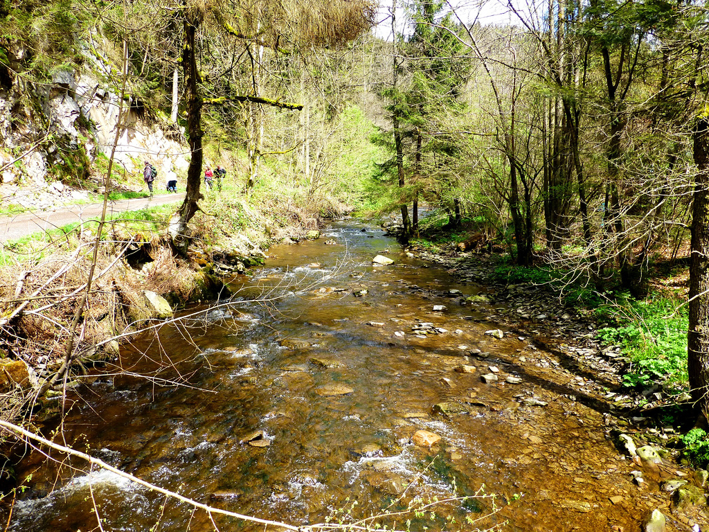 BE - Waimes - Valley of the Warche