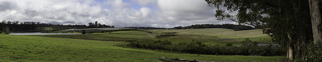 Farm Fields.