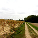 campagne du Berry