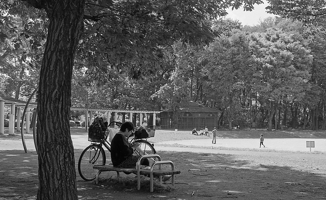 At a park