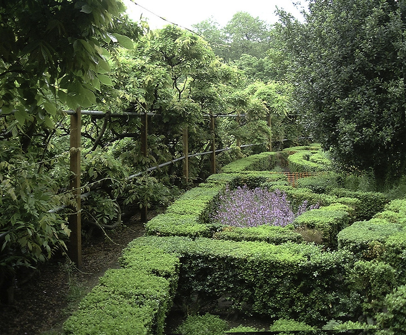 In the Knot Garden