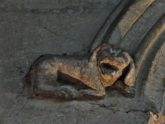 burford church, oxon (114) dog on c15 chantry chapel of st peter