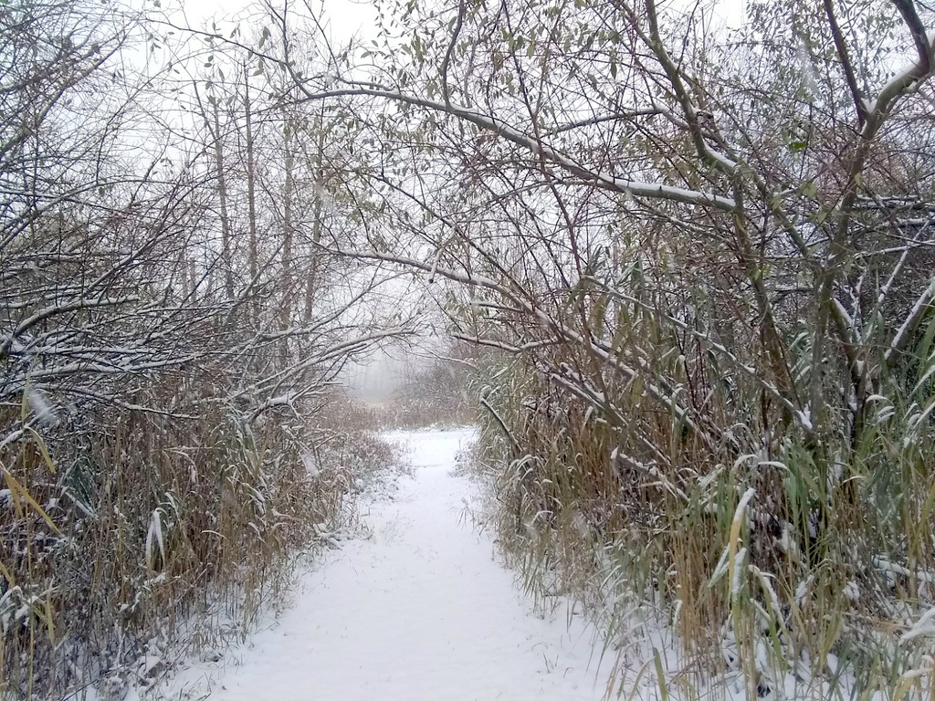 The first snow this season.