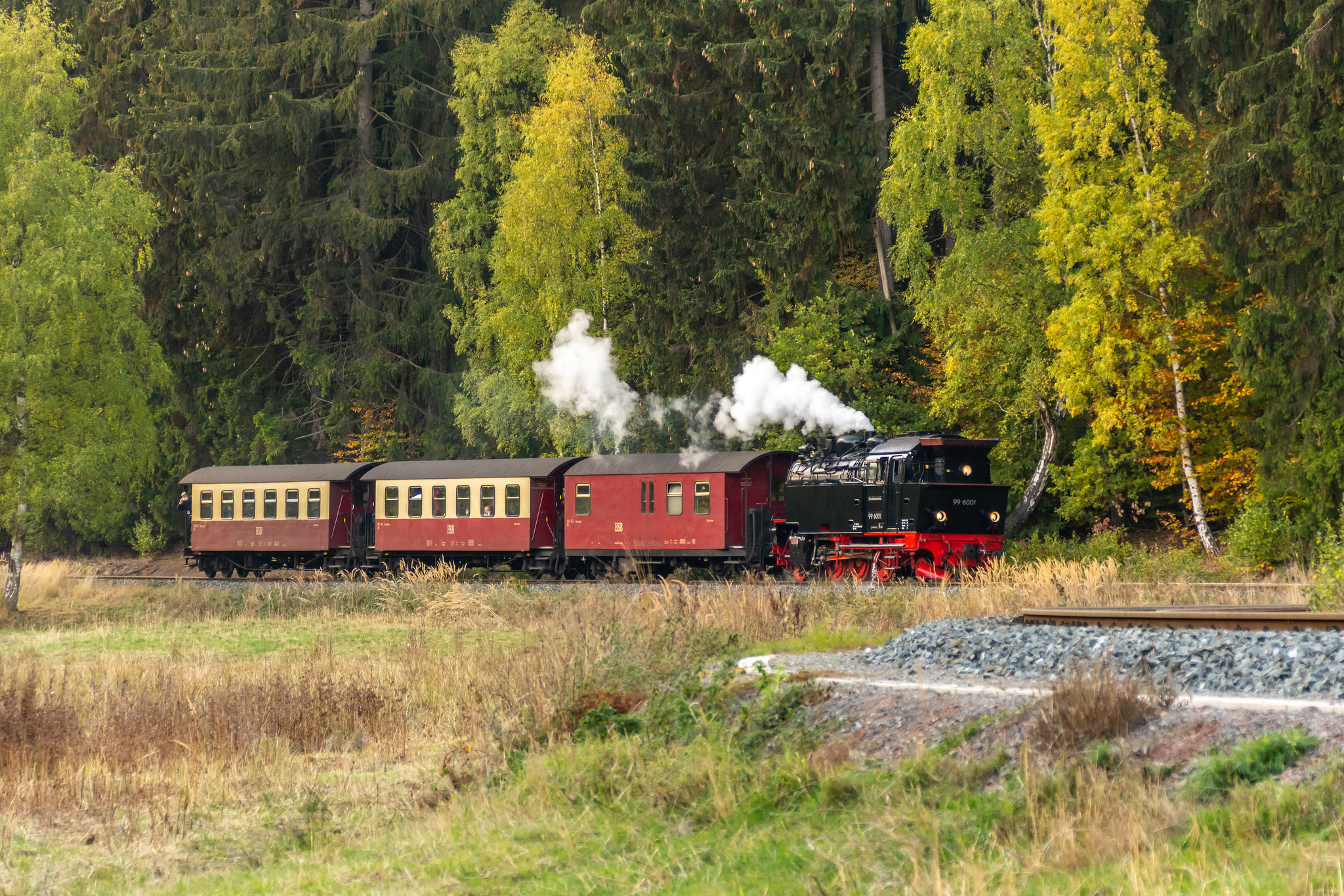 01 - Zug der HSB (Selketalbahn) bei Sternhaus-Haferfeld