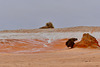 P1260977- Walls of China sous la pluie - Parc Mungo.  04 mars 2020