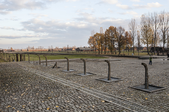 Auschwitz Birkenau-11
