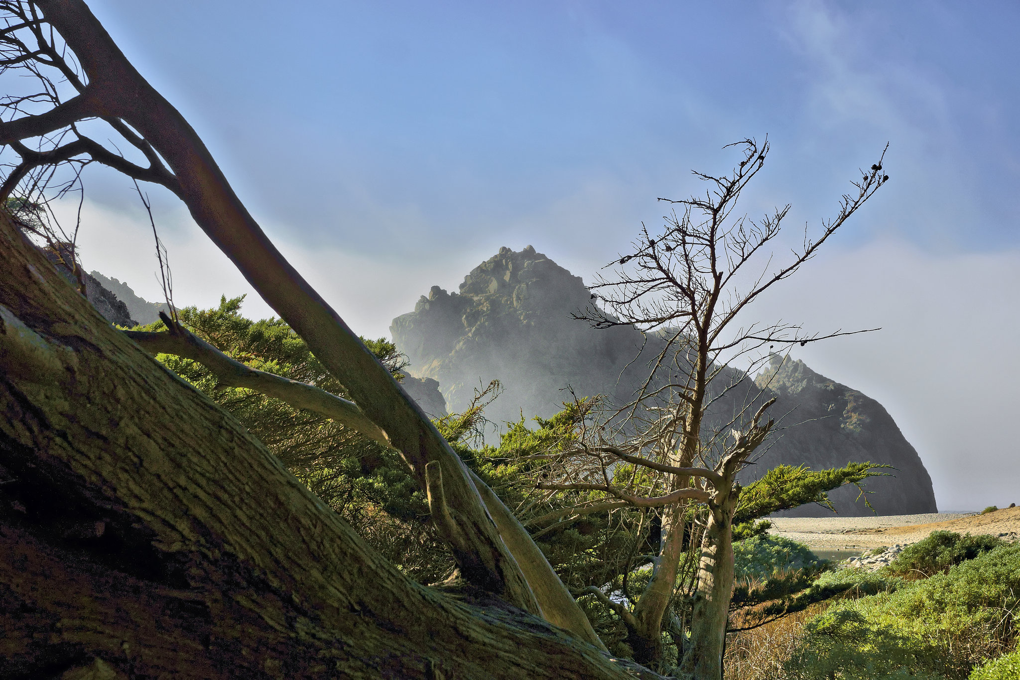 Great Expectations – Pfeiffer State Beach, Monterey County, California