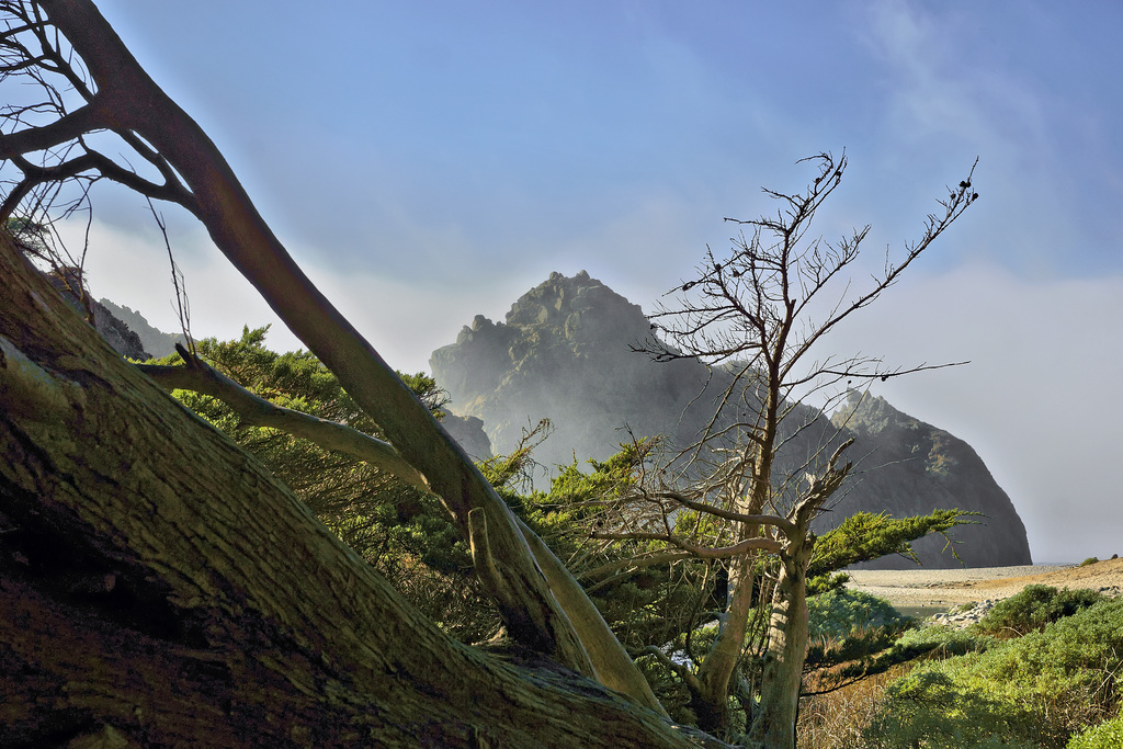 Great Expectations – Pfeiffer State Beach, Monterey County, California