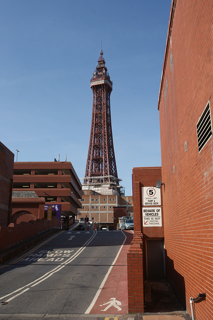 Blackpool Tower