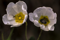 naturaleza y vida