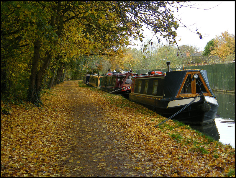 Jericho towpath in autumn