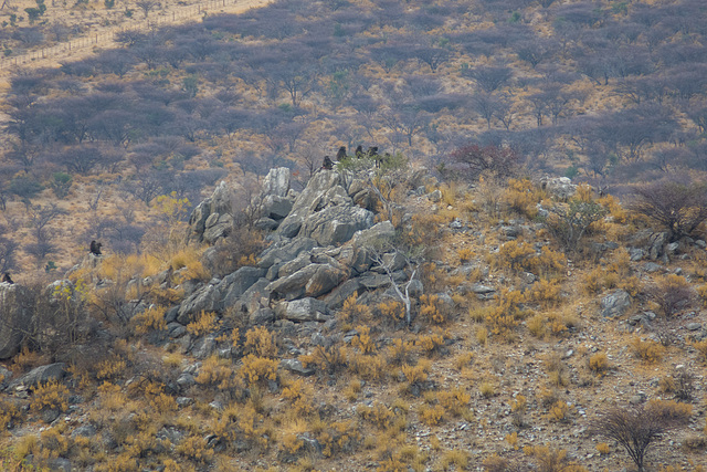 Namibia-0869