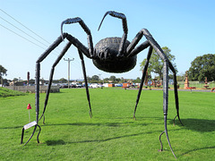 Arachnophobia.