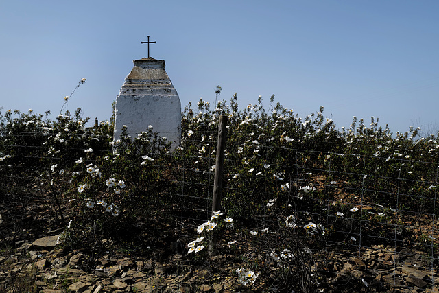 S. Miguel do Pinheiro, Calvário