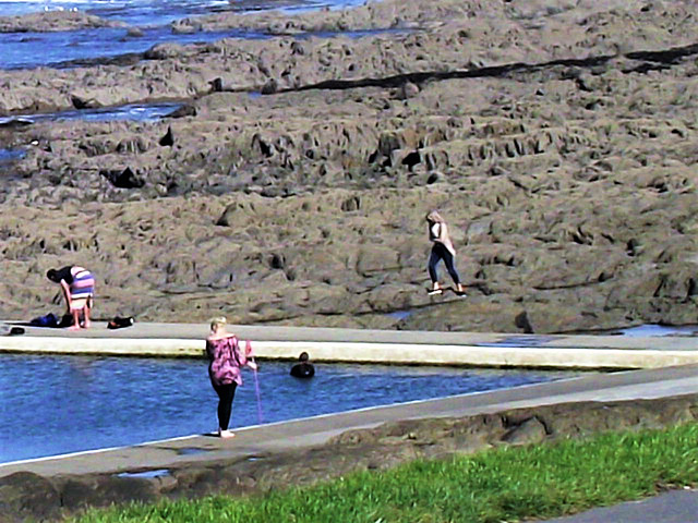 The seawater pool now idea for swimmers