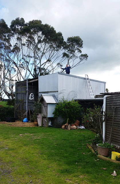 Ad fixing the hay shed roof