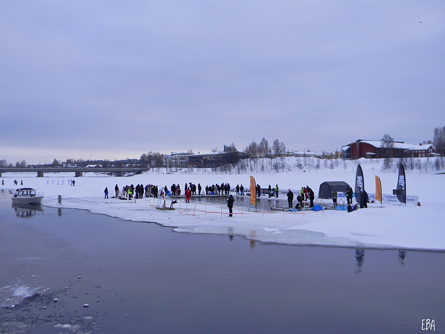 Winter Swim