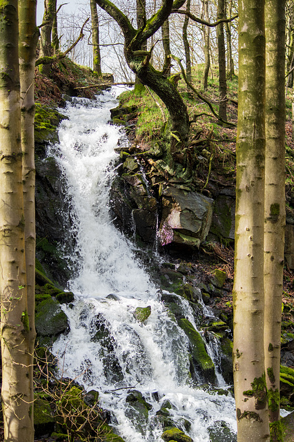 A Framed Waterfall