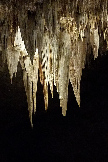 Carlsbad Caverns