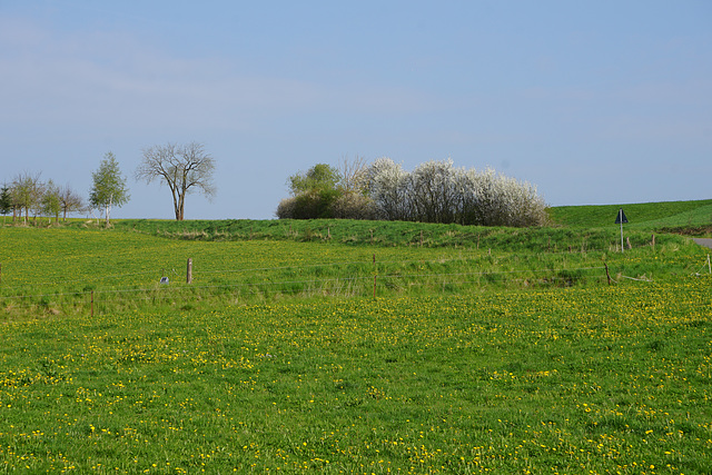 Morgenspaziergang