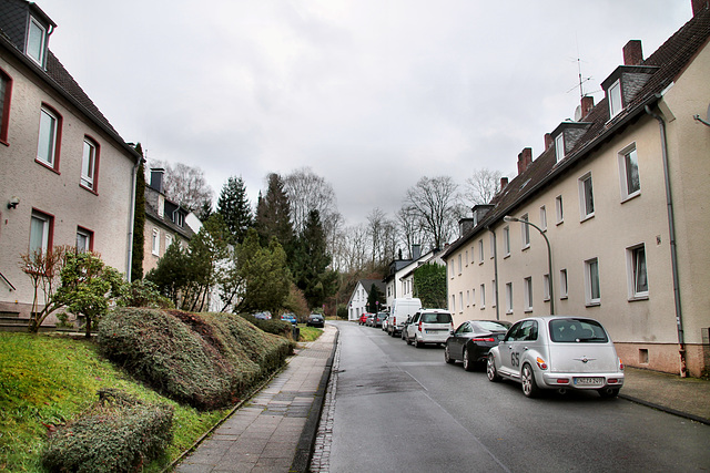 Mühlenweg (Wetter-Wengern) / 30.12.2021