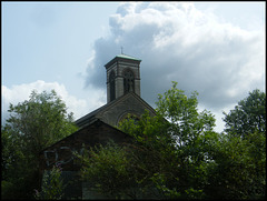 trees grown back around church