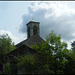 trees grown back around church